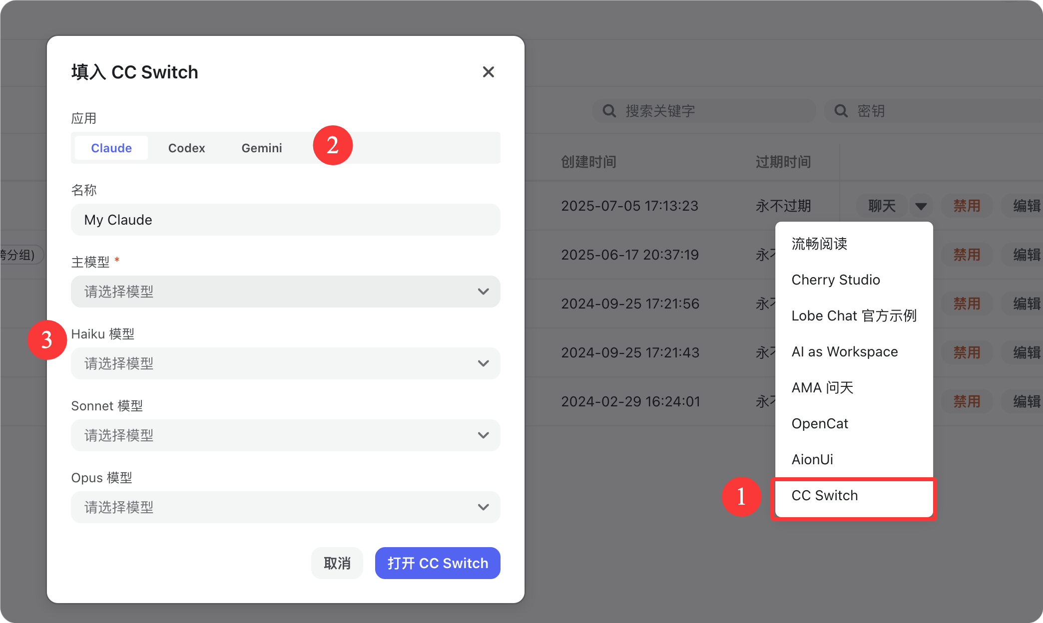 填入 CC Switch 弹窗